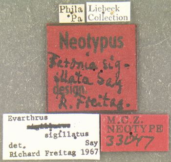 Media type: image;   Entomology 33047 Aspect: labels